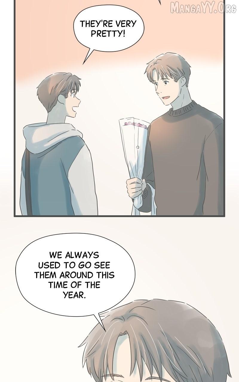 It Rains on Precious Days Chapter 190 page 70 - 