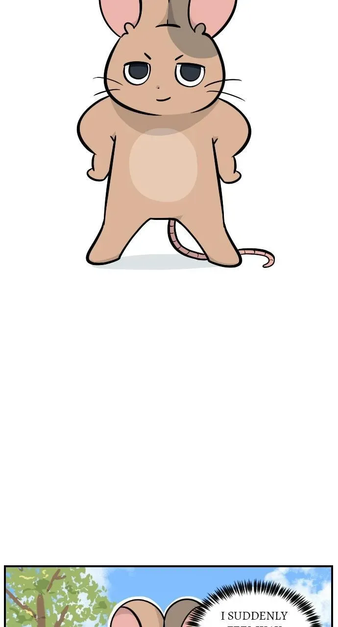It