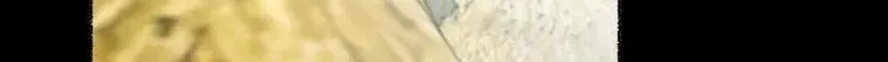 It