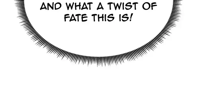 It Turns Out, They Were The True Protagonists From The Start Chapter 9.1 page 25 - 