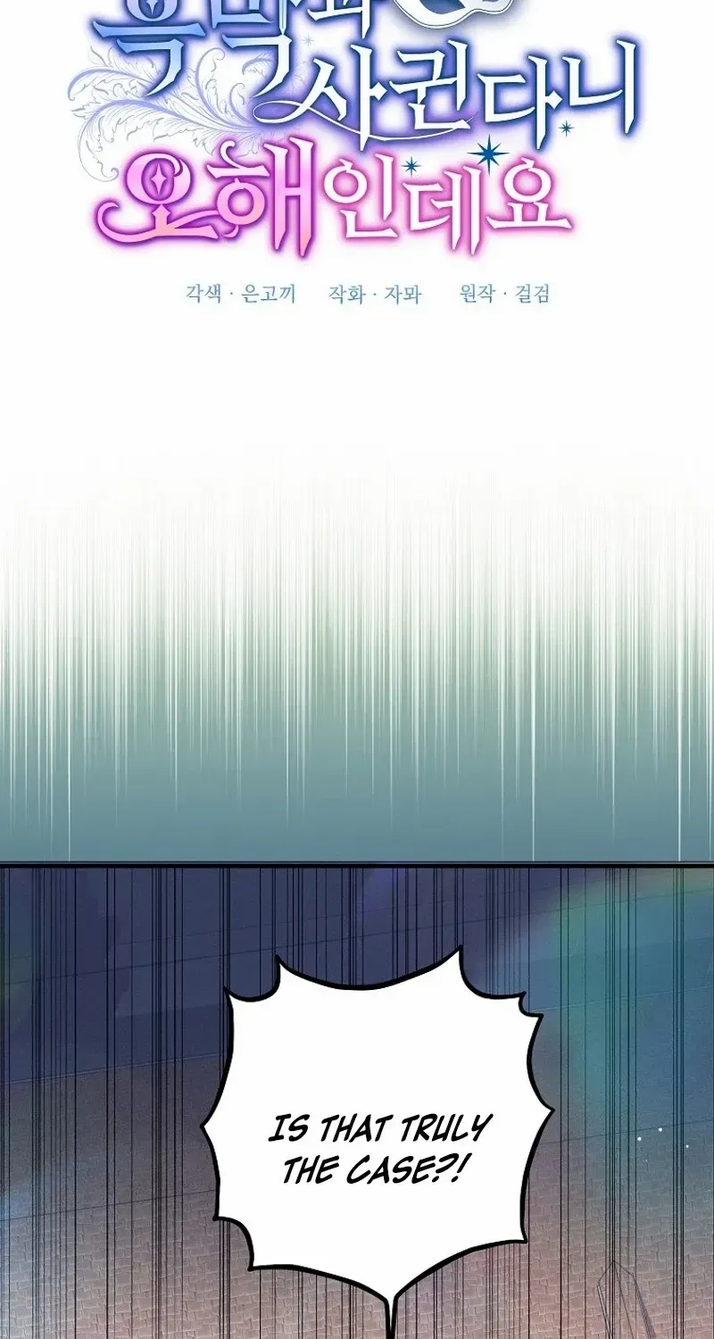 It’s A Misunderstanding That I’m Dating The Villain Chapter 5 page 17 - 