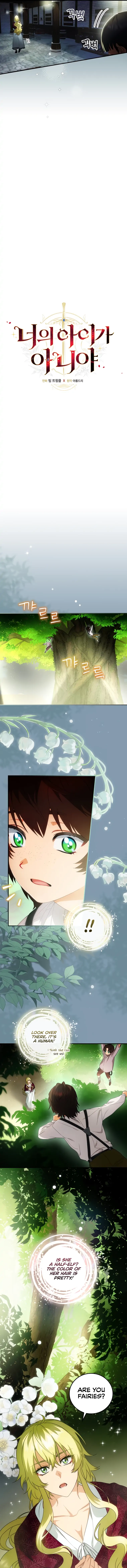  Chapter 15 page 5 - 