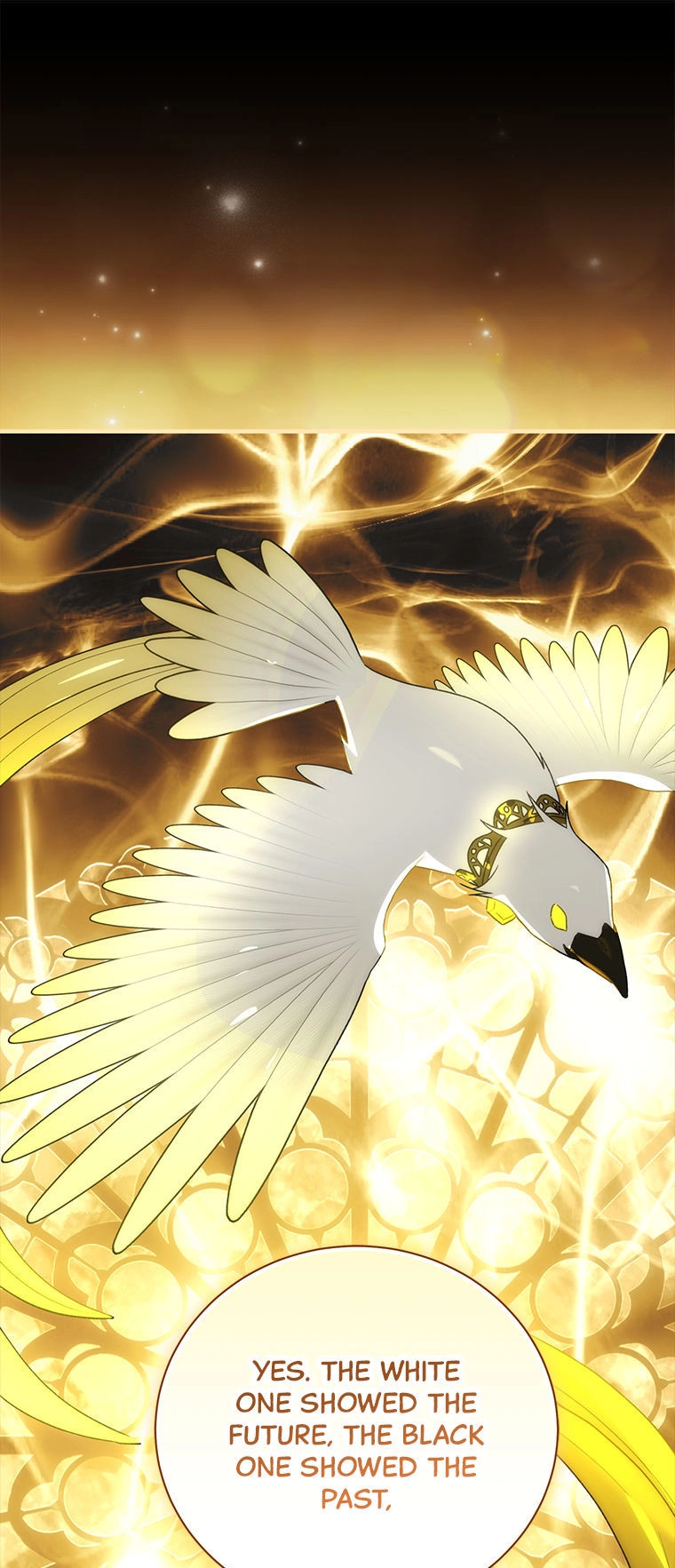  Chapter 91 page 1 - 