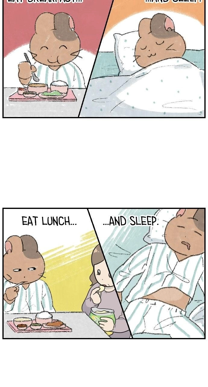 It