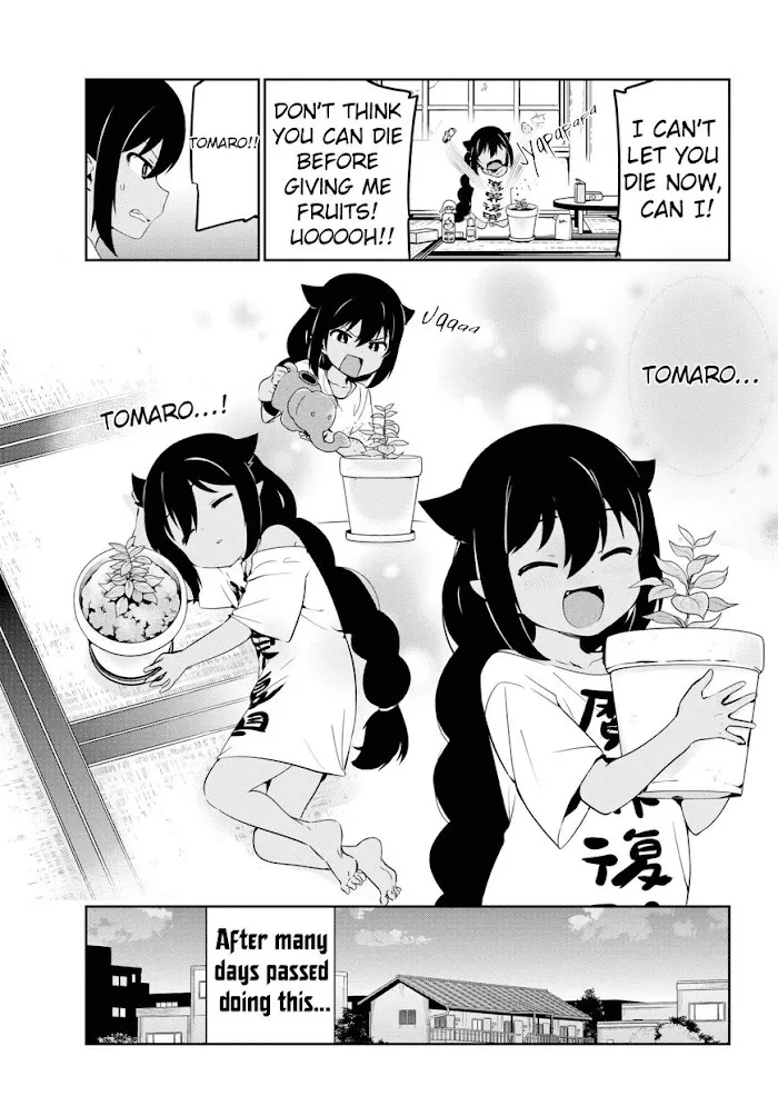 Jahy-sama Won