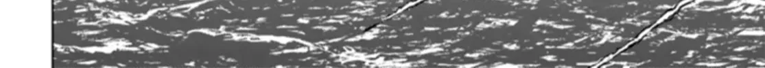 Japan Summons Chapter 41 page 16 - 