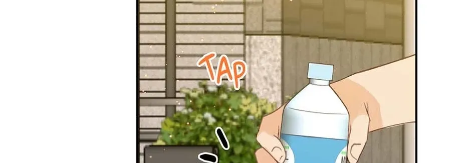 Jealousy Provokers Chapter 78 page 164 - 