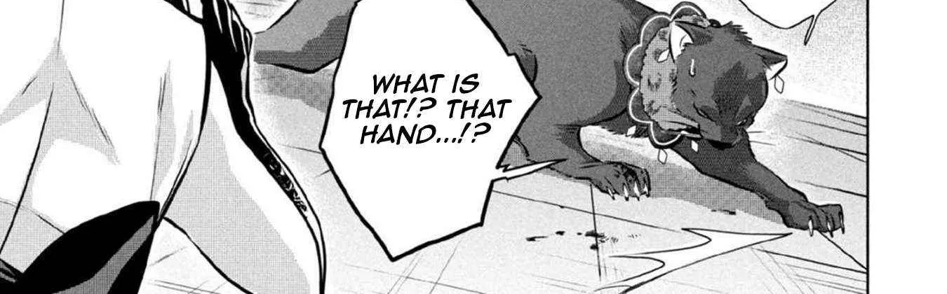 Jimi na Kensei wa Sore Demo Saikyou desu Chapter 79 page 19 - 