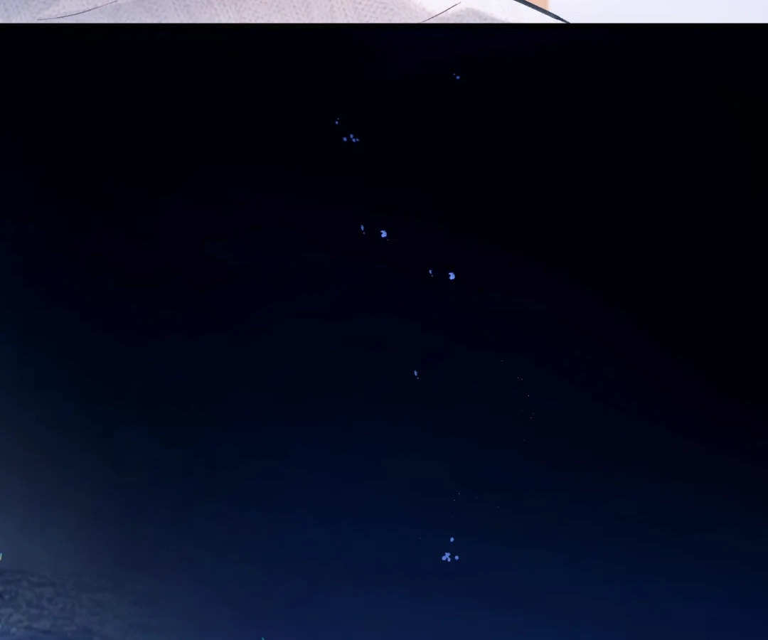 Jing Wei Chapter 50 page 14 - 