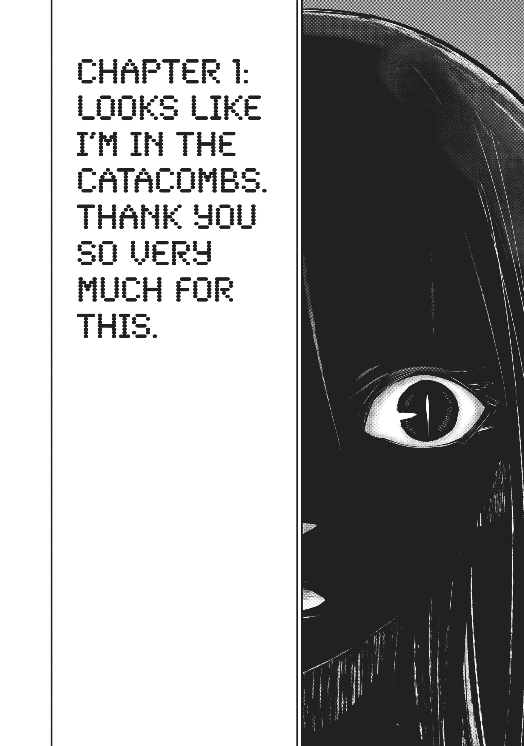 Jingai Hime Sama, Hajimemashita - Free Life Fantasy Online Chapter 1 page 35 - 