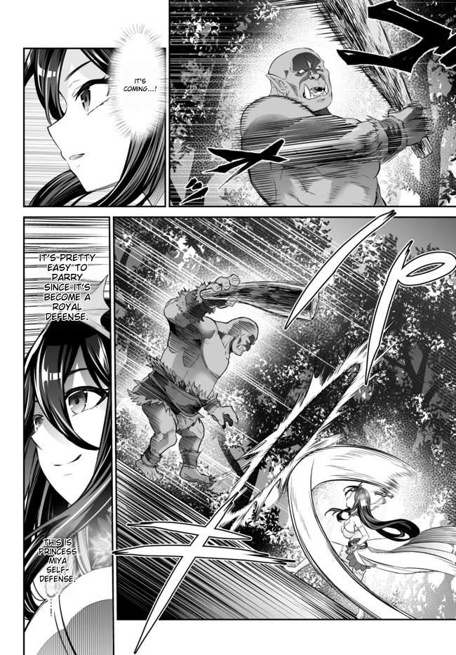 Jingai Hime Sama, Hajimemashita - Free Life Fantasy Online Chapter 18.1 page 11 - 