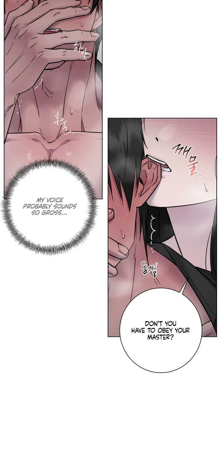 Jiwoo’s Master Chapter 15 page 46 - 