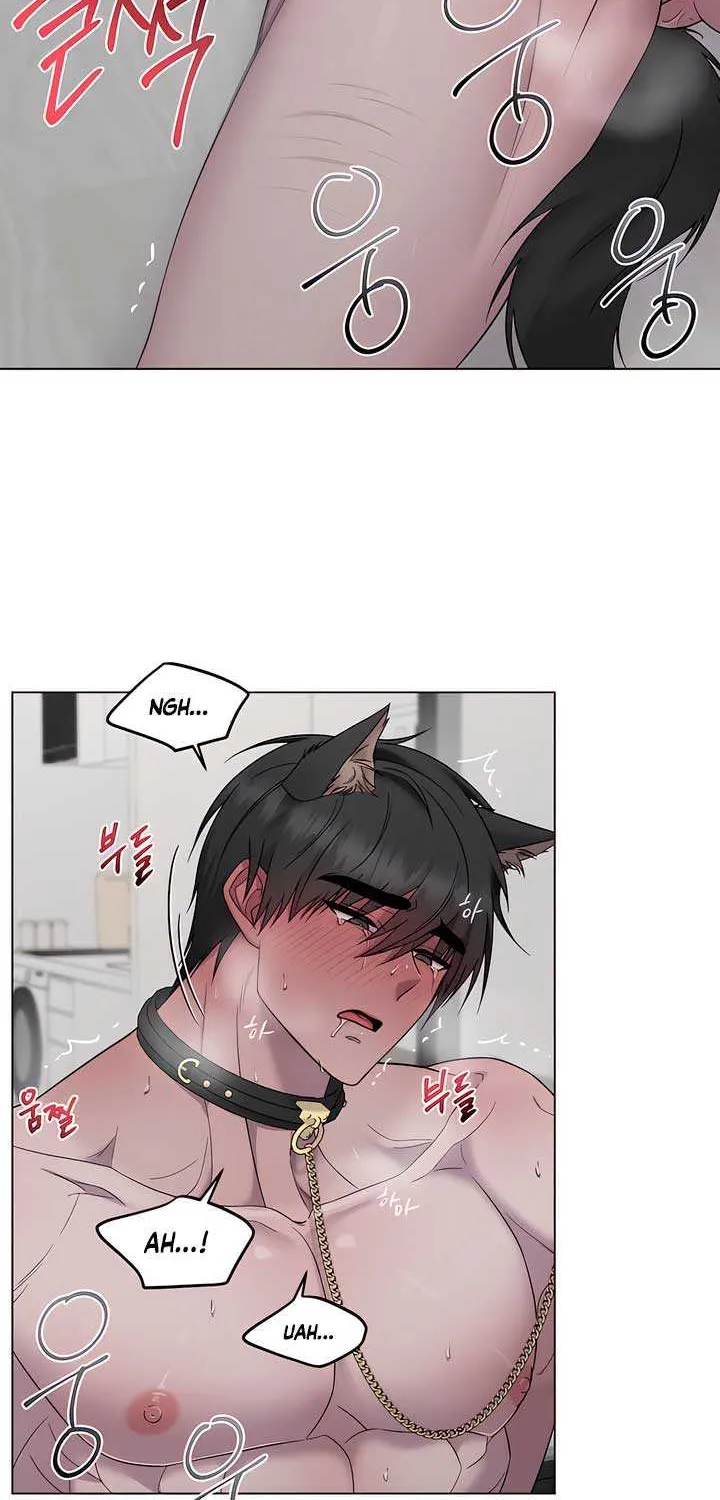 Jiwoo’s Master Chapter 18 page 19 - 