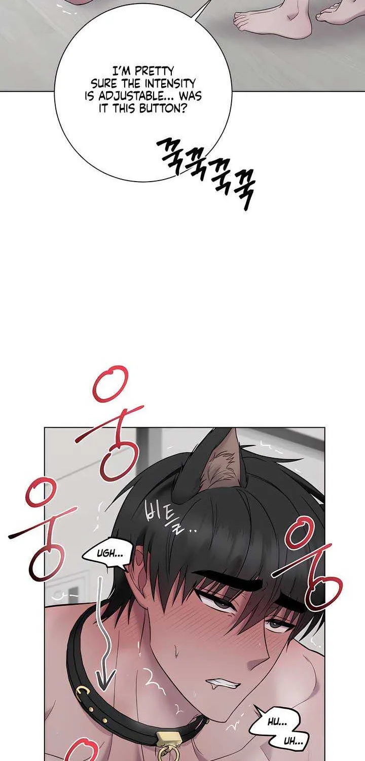 Jiwoo’s Master Chapter 18 page 4 - 