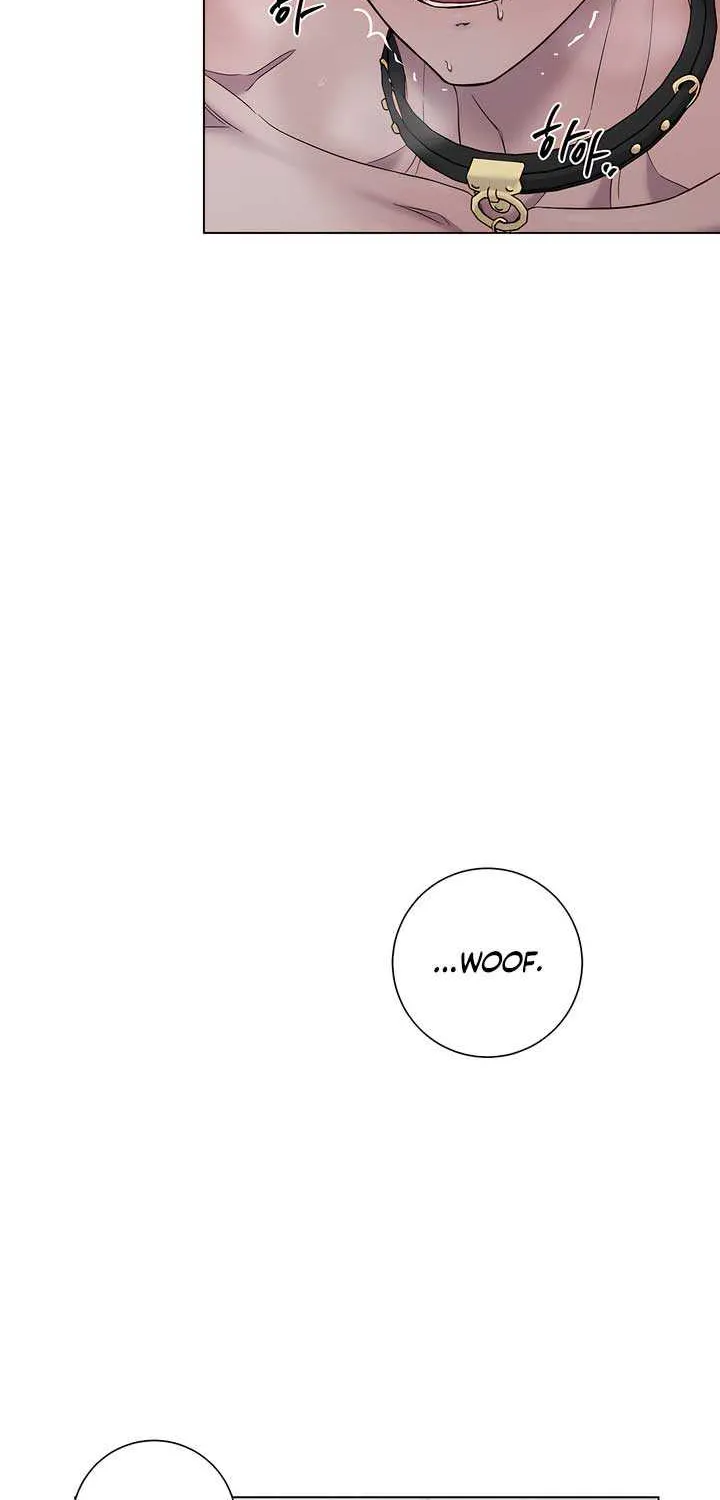 Jiwoo’s Master Chapter 18 page 37 - 