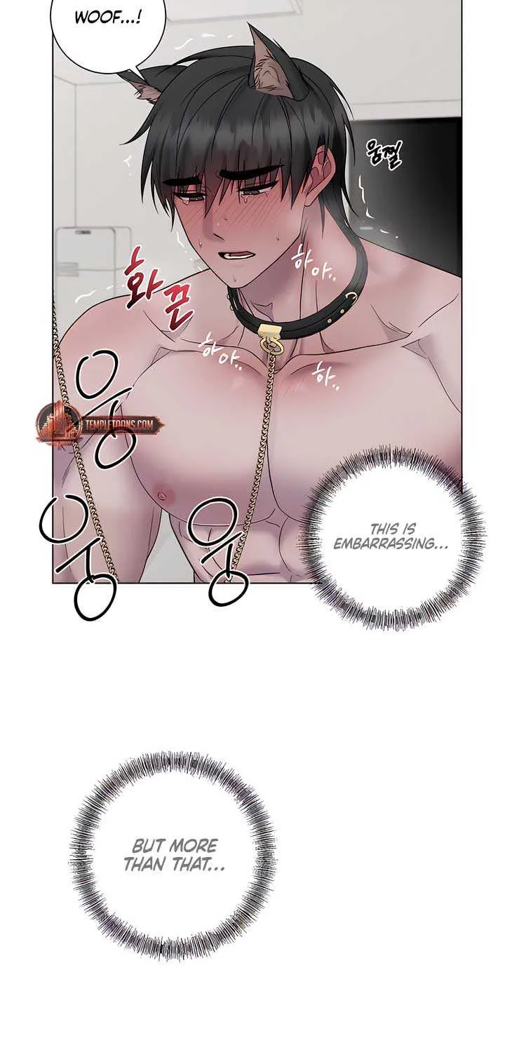 Jiwoo’s Master Chapter 18 page 38 - 