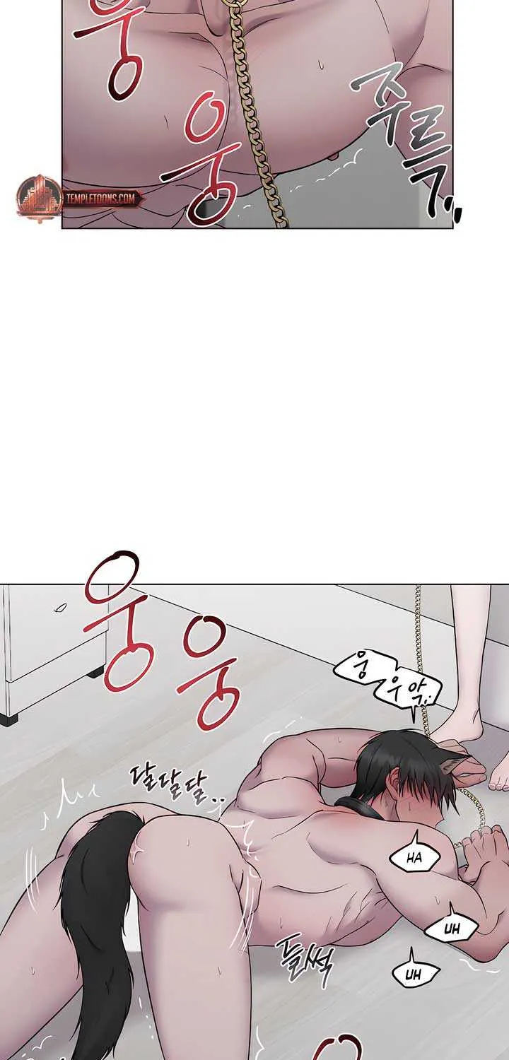 Jiwoo’s Master Chapter 18 page 5 - 