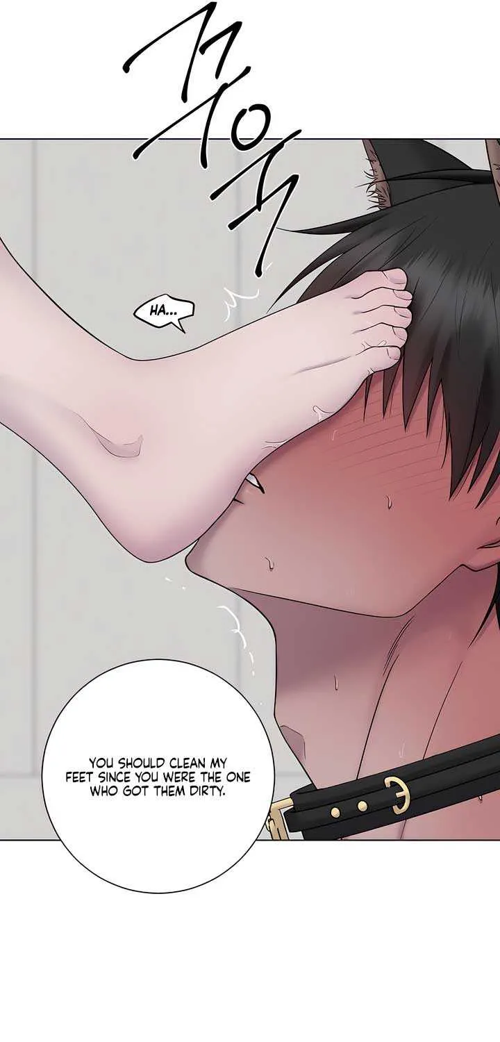 Jiwoo’s Master Chapter 18 page 42 - 