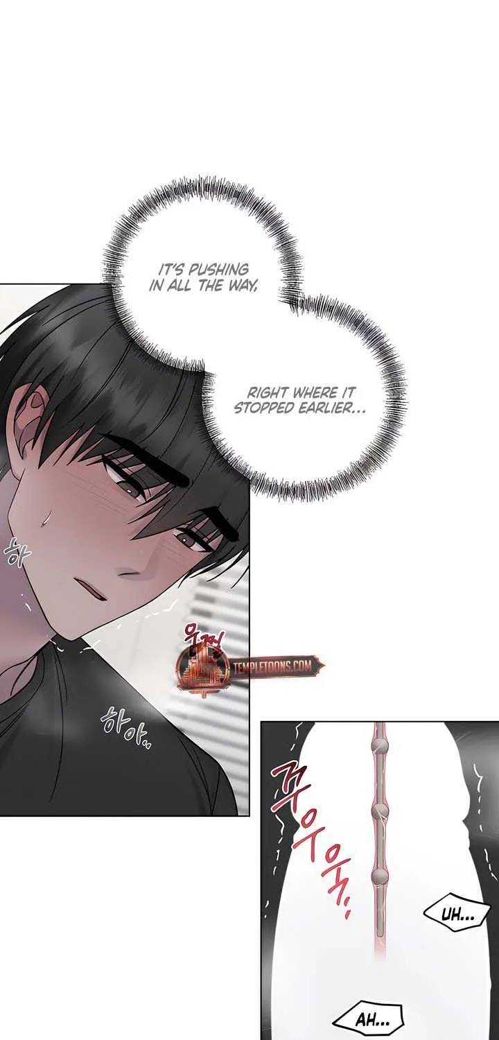 Jiwoo’s Master Chapter 20 page 17 - 