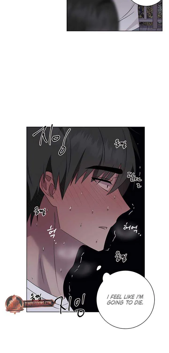 Jiwoo’s Master Chapter 26 page 47 - 