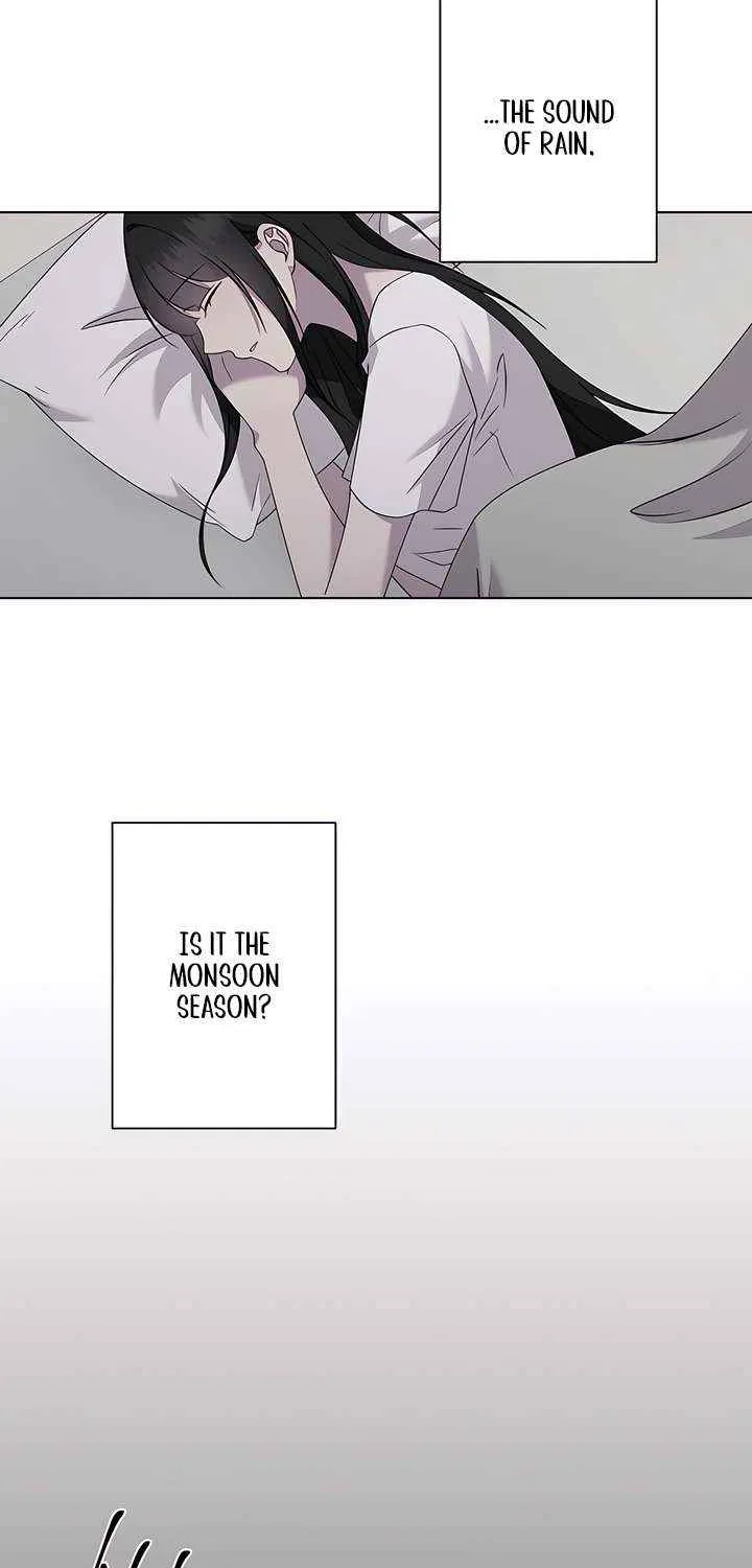 Jiwoo’s Master Chapter 31 page 63 - 