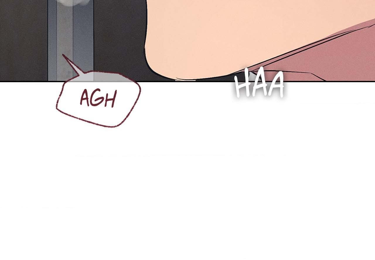 Joseon Adult Toy Store Chapter 48 page 81 - 