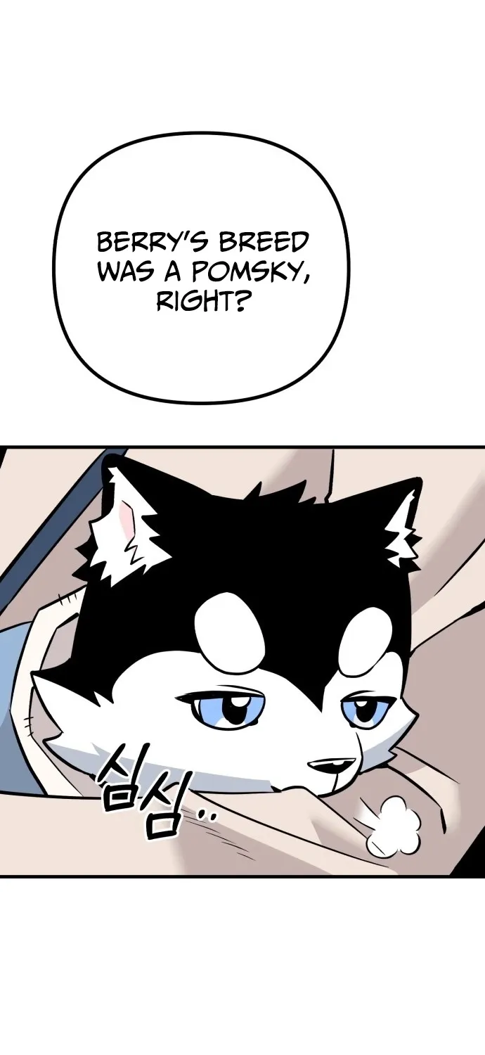 Joseon Husky Chapter 1 page 31 - 