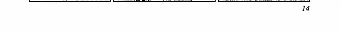 Jouhai Shougun, Mata Yabureru Chapter 16 page 34 - 