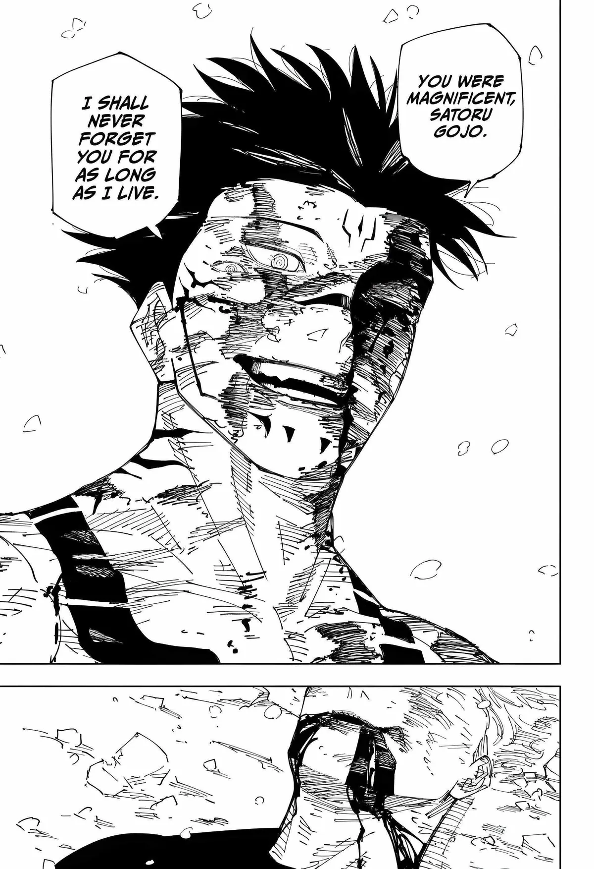 Jujutsu Kaisen (00) Chapter 236 page 17 - 