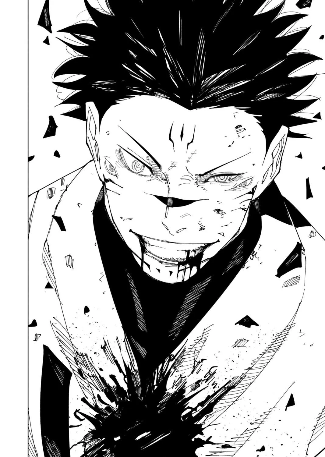 Jujutsu Kaisen Chapter 228 page 17 - 