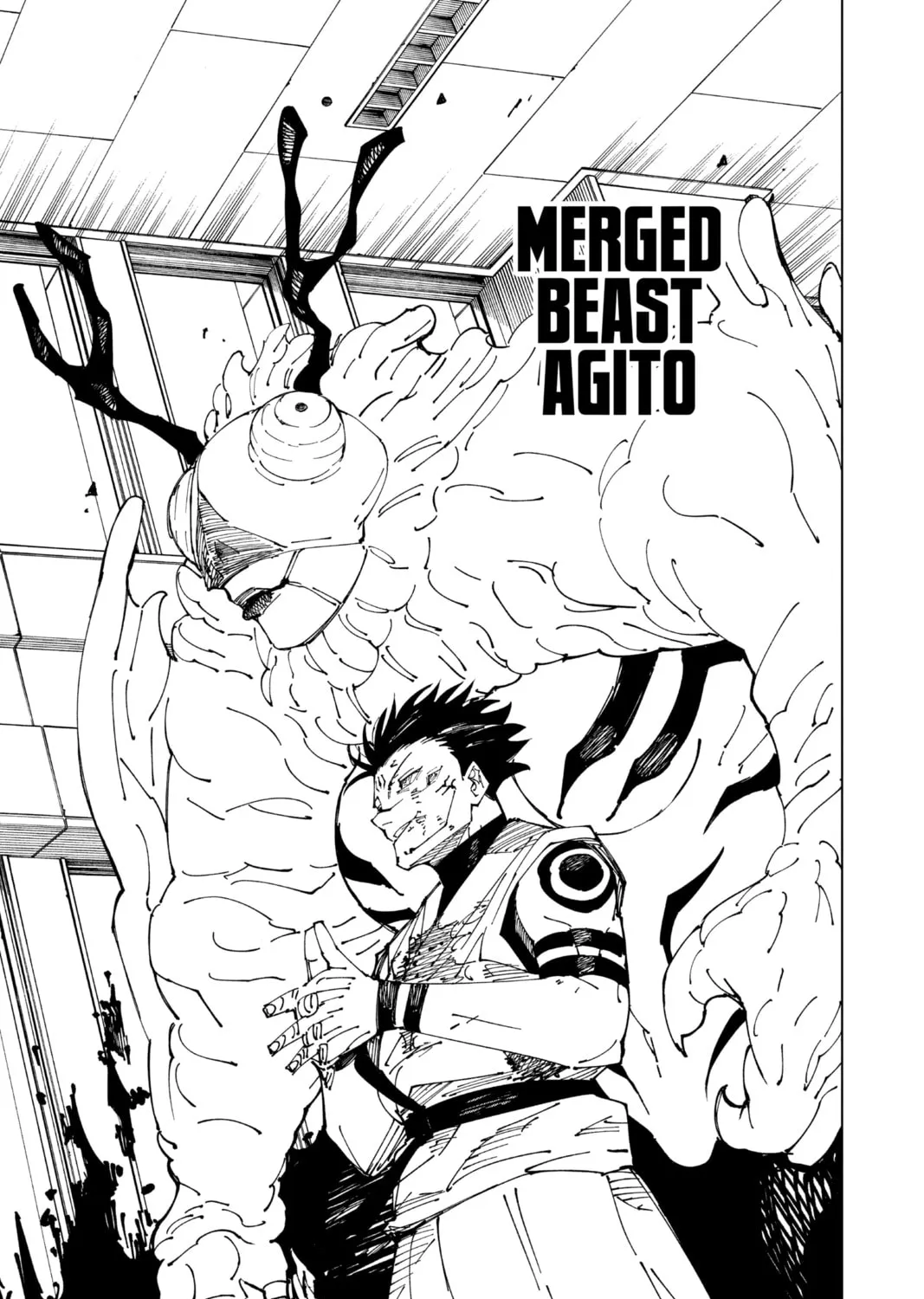 Jujutsu Kaisen Chapter 233 page 25 - 