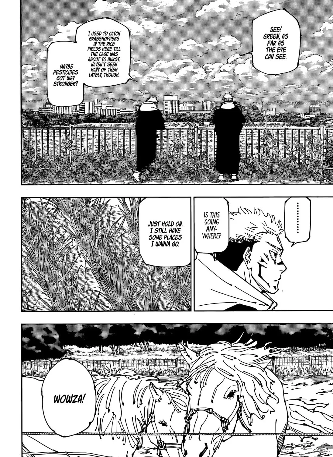Jujutsu Kaisen Chapter 265 page 12 - 