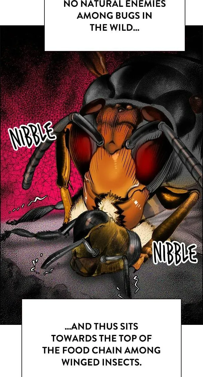 Jungle Juice Chapter 12.1 page 167 - 