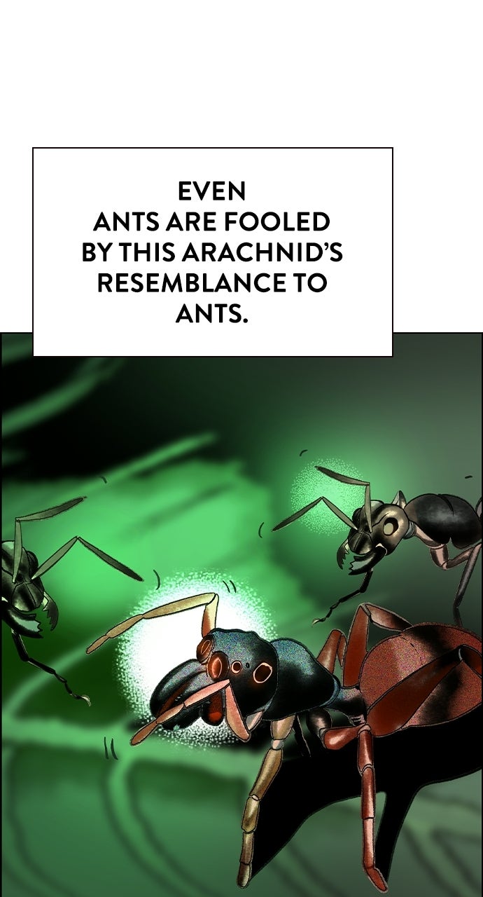 Jungle Juice (S3) Episode 63 page 134 - 