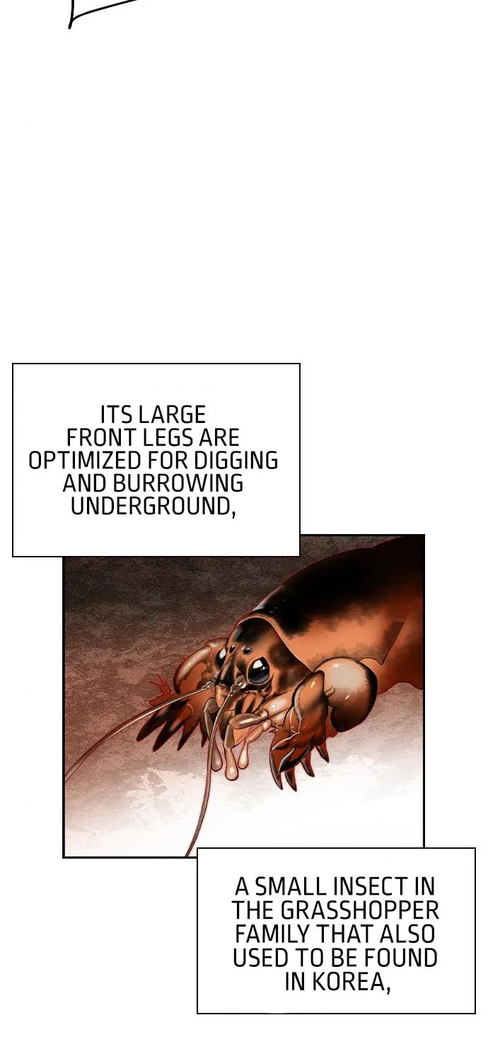 Jungle Juice Chapter 33 page 65 - 