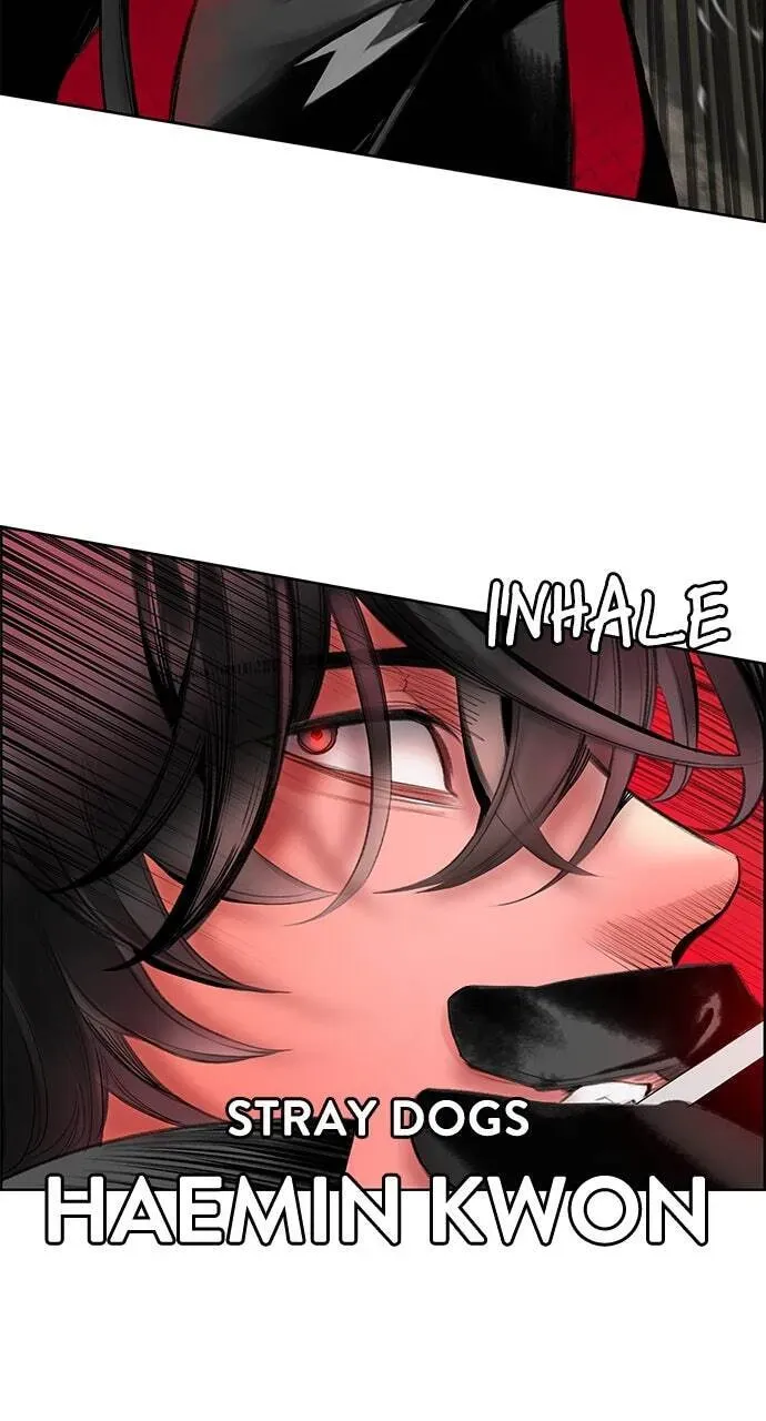 Jungle Juice Chapter 4.1 page 114 - 