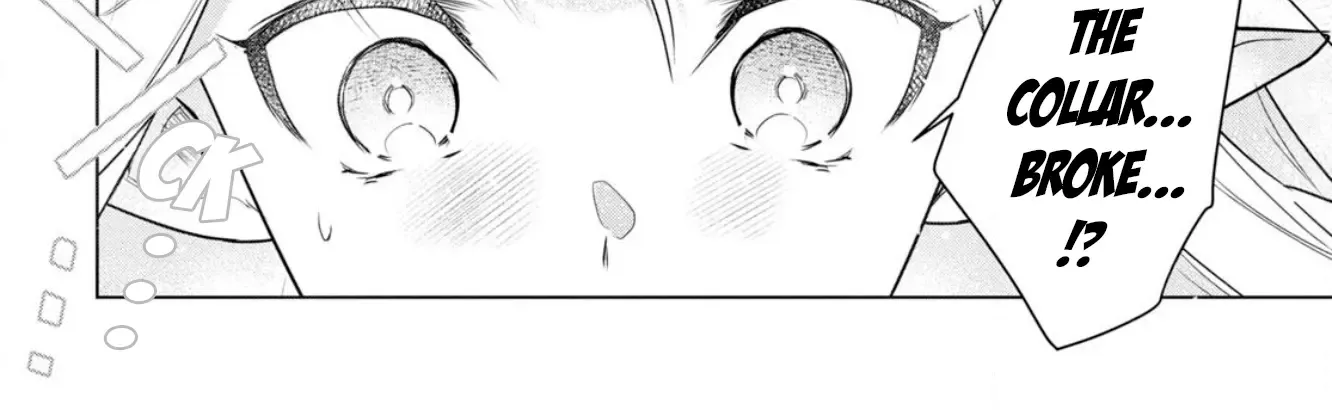 Kabeyaku Nado Fuyou to Tsuihousareta S-kyuu Boukensha, Skill wo Kushi shite Shijou Saikyou no Kunizukuri Chapter 2 page 16 - 