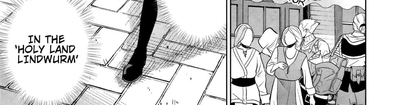 Kage no Jitsuryokusha ni Naritakute! Shichikage Retsuden Chapter 11.1 page 16 - 