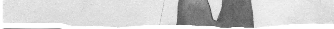 Kaji Ryuusuke