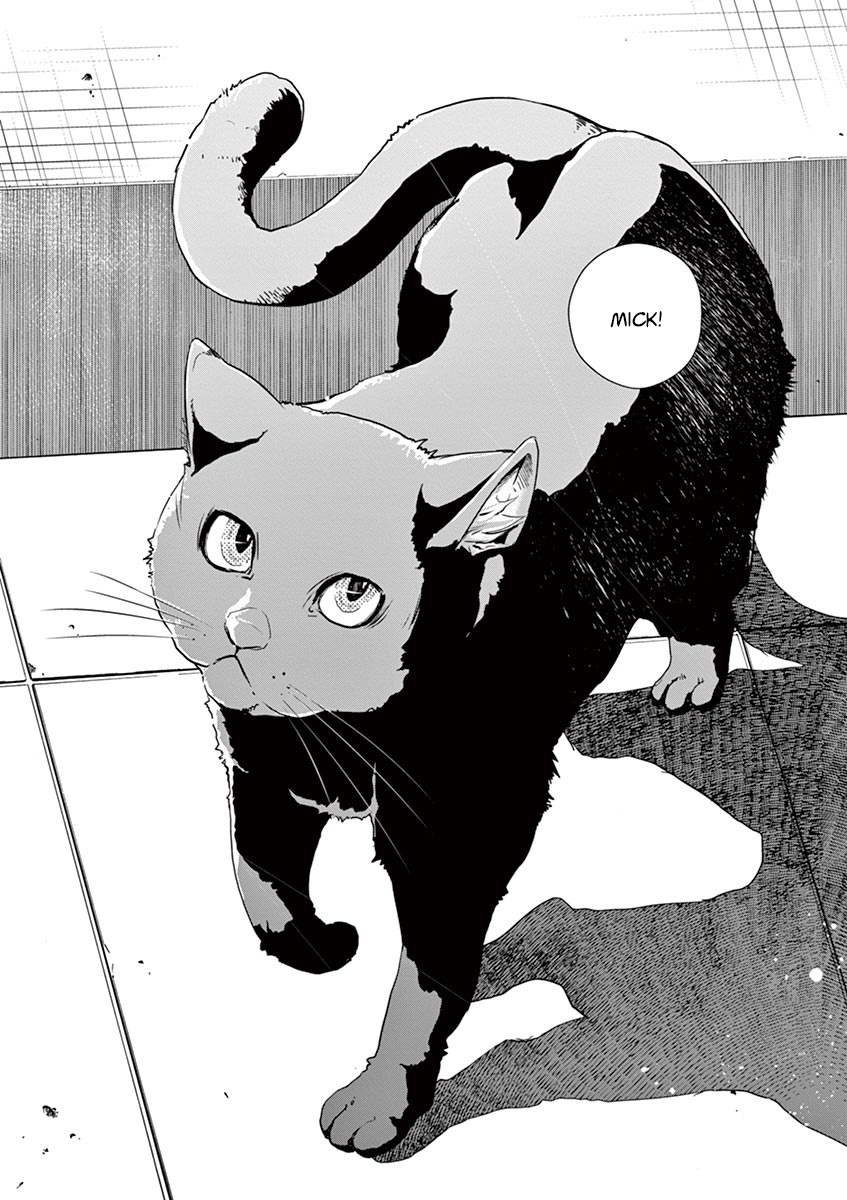Kamen Rider W: Fuuto Tantei Chapter 16 page 20 - 