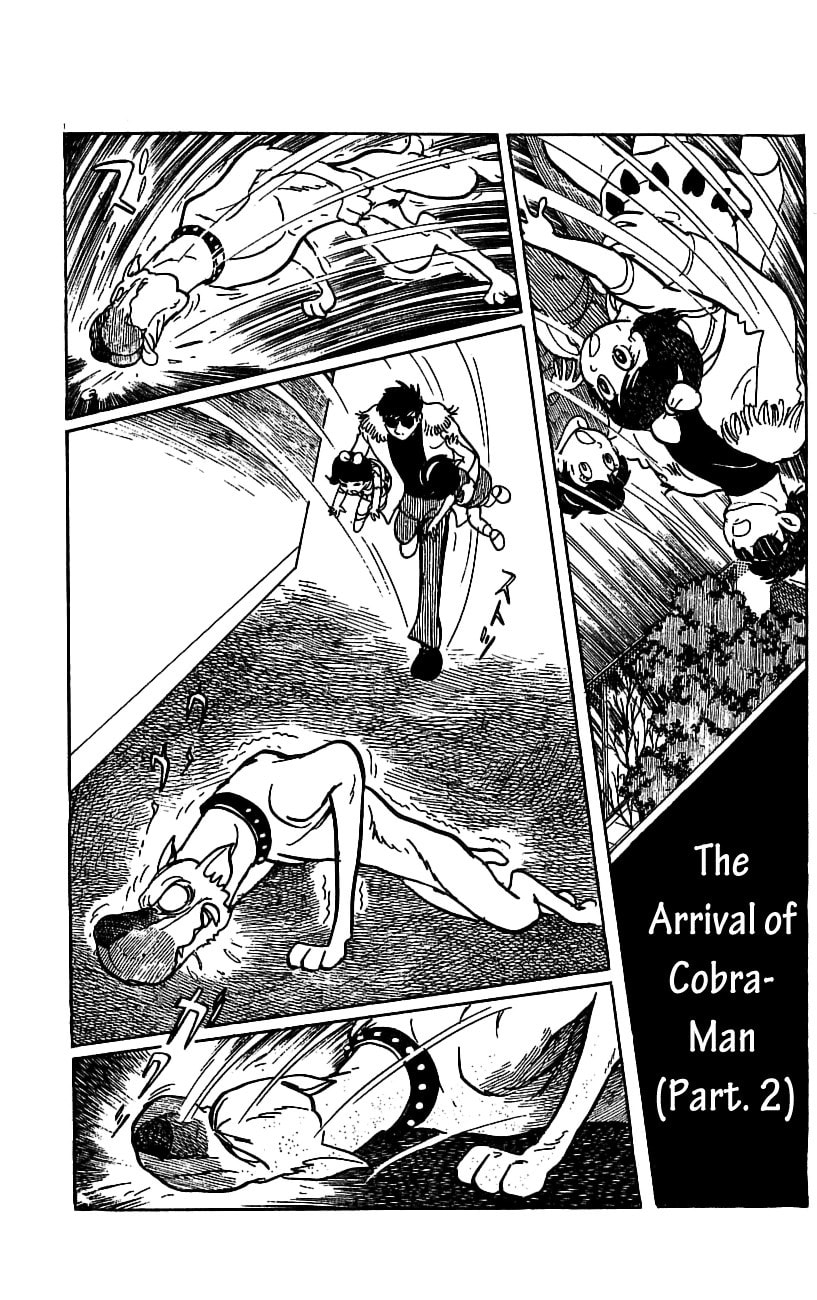 Kamen Rider Chapter 3.2 page 9 - 