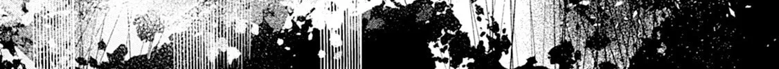 Kanjou ga Tenkou ni Haneisareru Tokushu Noryoku-Mochi Reijou wa Konyaku Kaishousareta no de Fumou no Daichi e Totsugitai Chapter 2 page 22 - 