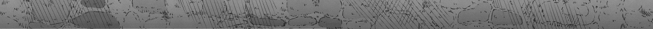 Karate Survivor in Another World Chapter 12.5 page 10 - 