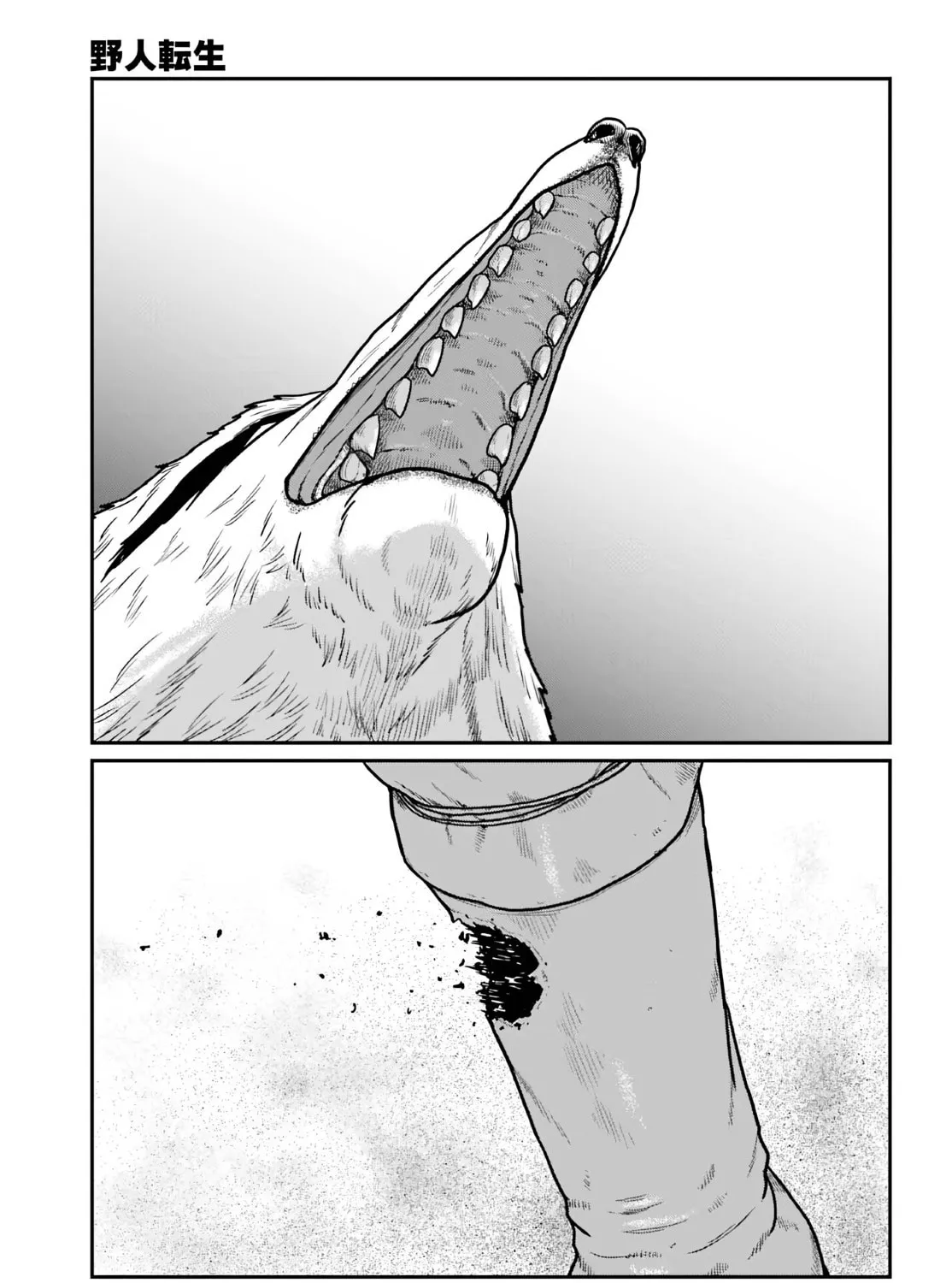 Karate Survivor in Another World Chapter 64 page 5 - 
