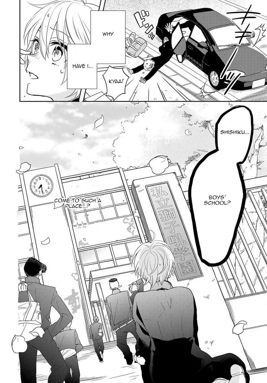 Kenka Bancho Otome: Love
