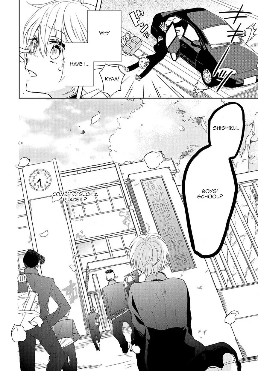 Kenka Bancho Otome: Love