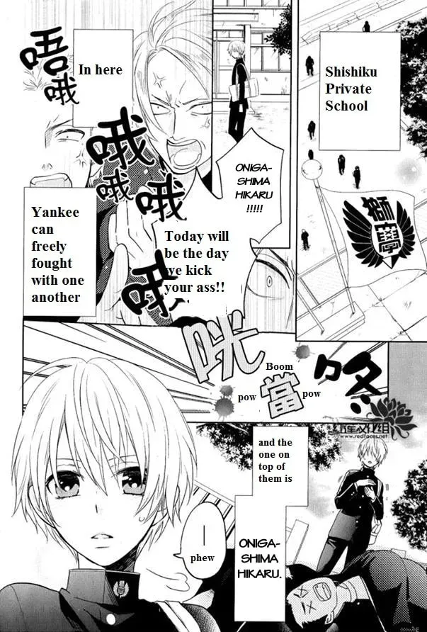 Kenka Bancho Otome: Love