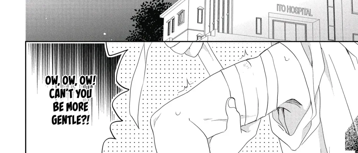 Kenka Bancho Otome: Love