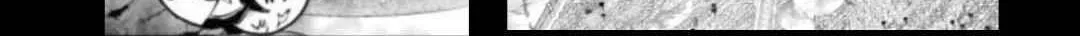 Killer Shark In Another World Chapter 23 page 3 - 