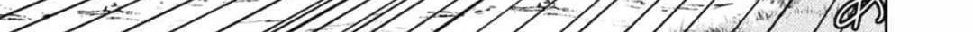 Killer Shark In Another World Chapter 27 page 31 - 